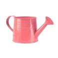thumbnail image 2 of Metal Watering Can,1 liter Capacity Metal Watering Can with Sprinkler Head, Vintage Sprinkling Can for Indoor Outdoor Plants, Flowers, Garden, Lawn, 2 of 3