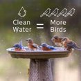 thumbnail image 4 of Ecological Labs 10BBC4-24D, Microbe Lift Bird Bath Cleaner, 4-Ounce, 4 of 5