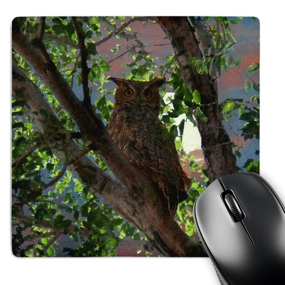 3dRose, Owl and The Moon, MousePad