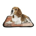 thumbnail image 2 of PKQWTM Grungy and grainy bleached Pet Dog Cat Bed Pee Pads Mat Cushion Potty Dogs Blankets Crate Bed Kennel 36x48 inch, 2 of 3