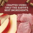 thumbnail image 4 of Zuke's Lil' Links Chicken and Apple Recipe Training Treats Dog Treats 170 g, 4 of 9