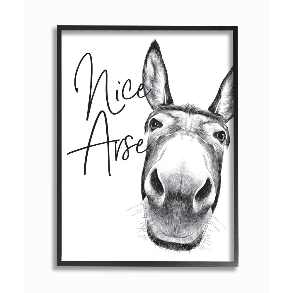 Stupell Industries Animal Humor Nice Arse Donkey Bathroom Phrase Framed