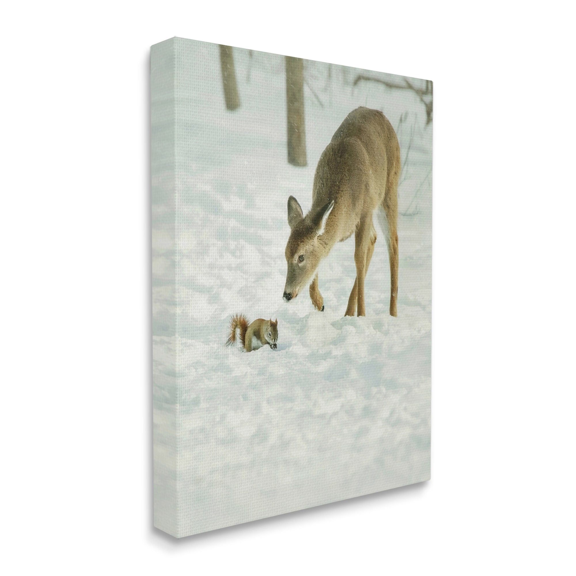 Stupell Industries Deer & Squirrel Snow Scene Animals & Insects Photography Gallery Wrapped Canvas Print Wall Art