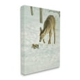 thumbnail image 3 of Stupell Industries Deer & Squirrel Snow Scene Animals & Insects Photography Gallery Wrapped Canvas Print Wall Art, 3 of 5