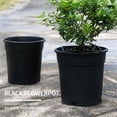 thumbnail image 2 of Bearachild 5 unids/set de solución de plantación de lavabo Base con características de drenaje y transpirabilidad resistente a 16 orificios Type2 NO2, 2 of 6