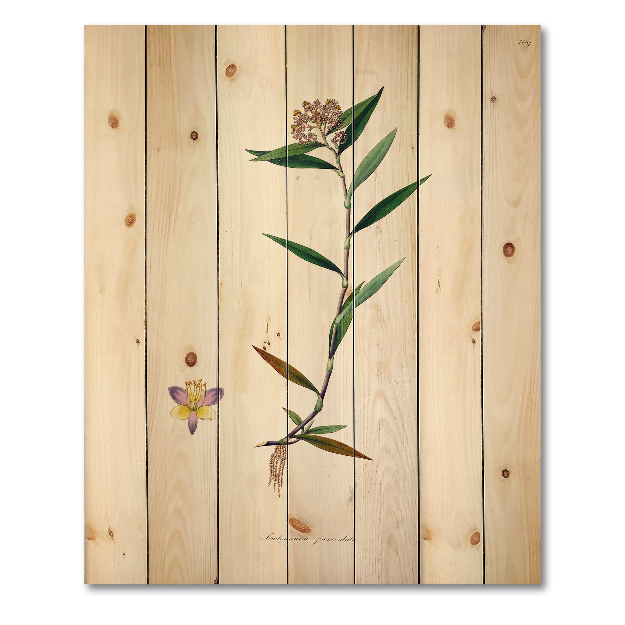 Designart 'Ancient Botanicals XIX' Farmhouse Print on Natural Pine Wood
