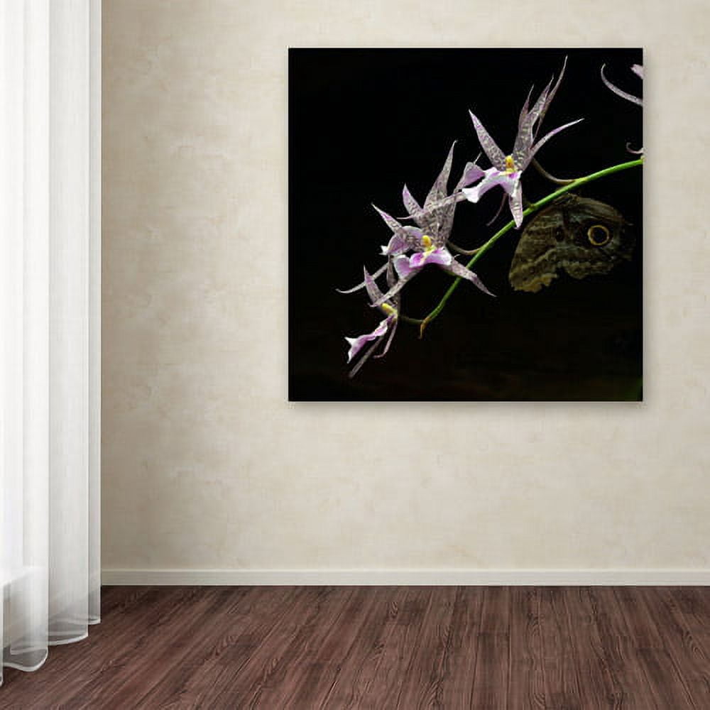Trademark Fine Art "Spider Orchid and Owl Eye" Canvas Art by Kurt Shaffer