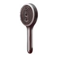 thumbnail image 2 of 2-In-1 Hair Styling Brush & Spray - Soft Glide Detangling Wet & Dry Hair Brush, Frizz-Free Smooth Finish, Portable Travel Hair Tool, Pink, Perfect For Salon, Home, & Holiday Gifts, 2 of 5