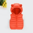 thumbnail image 2 of Ixbnca Toddler Puffer Vest Coat Full Zip up Ear Hoodie Cute Kids Winter Outwear Lightweight Warm Jacket, 2 of 2