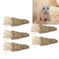 thumbnail image 1 of Juguetes De Zanahoria De Paja De Conejo, Juguetes De Zanahoria De Hierba De Madera Higiénicos Naturales, Saludables Y Resistentes Para Mascotas Para Masticar Ejercicio Para, 1 of 7