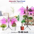 thumbnail image 3 of EILSORRN Grow Lights for Indoor Plants , 5 Heads Grow Lights with Stand Full Spectrum , LED Grow Lights W/ Adjustable Stand, 4/8/12H Timer for All Plants Growing Lamps, 3 of 8