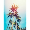 thumbnail image 3 of Tai Prints 15x18 Black Modern Framed Museum Art Print Titled - Palms in the Sun, 3 of 5