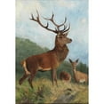 thumbnail image 2 of Carl Friedrich Deiker 14x18 Gold Ornate Wood Frame and Double Matted Museum Art Print Titled - A Dominant Stag, 2 of 4