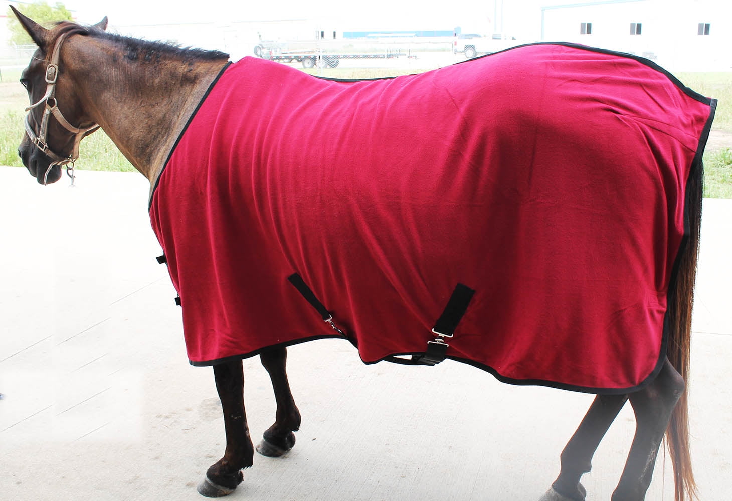 Horse Sheet Polar FLEECE COOLER Exercise Blanket wick Black Trim 4358