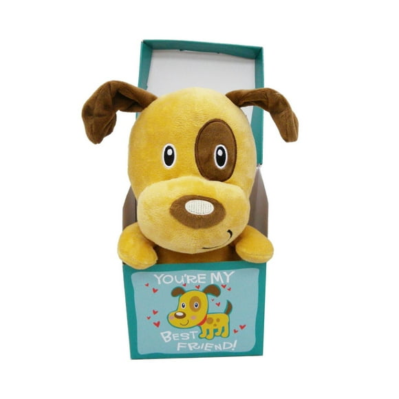 Chiot dans une boîte cadeau