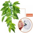 thumbnail image 4 of 3 Pieces 12 Inch Reptile Plants Set Artificial Hanging Silk Terrarium Plant Artificial Money Plant Hanging Vines with Suction Cups for Lizards Bearded Dragons Snake Geckos Hermit Crab Tank Decor, 4 of 6