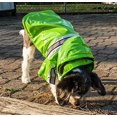 thumbnail image 4 of Pet Life R4GRSM Green - Reflecta Glow Pvc Raincoat - SM, 4 of 5