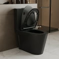 thumbnail image 5 of Ace 1-Piece 0.8/1.28 GPF Dual Flush Elongated Toilet in Black, Seat Included, 5 of 16