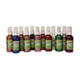 thumbnail image 1 of Chenille Kraft Company CK-8561 Glitter Glue 12Pk Assortment, 1 of 1