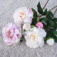 thumbnail image 5 of 1Pc Artificial Flower Realistic Easy Care 2-head No Fade Peony Fake Flower for Wedding, 5 of 7
