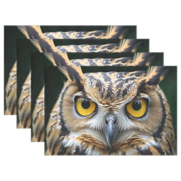 Owl Head 12×18 inch Placemats Heat Resistant Washable Foldable Rectangular Placemats Set Decoration Indoor Outdoor for Kitchen Dining Table 1PC