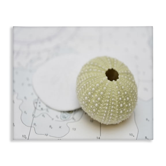 Stupell Industries Modern Canvas Art, 20 x 16, by Savanah Plank