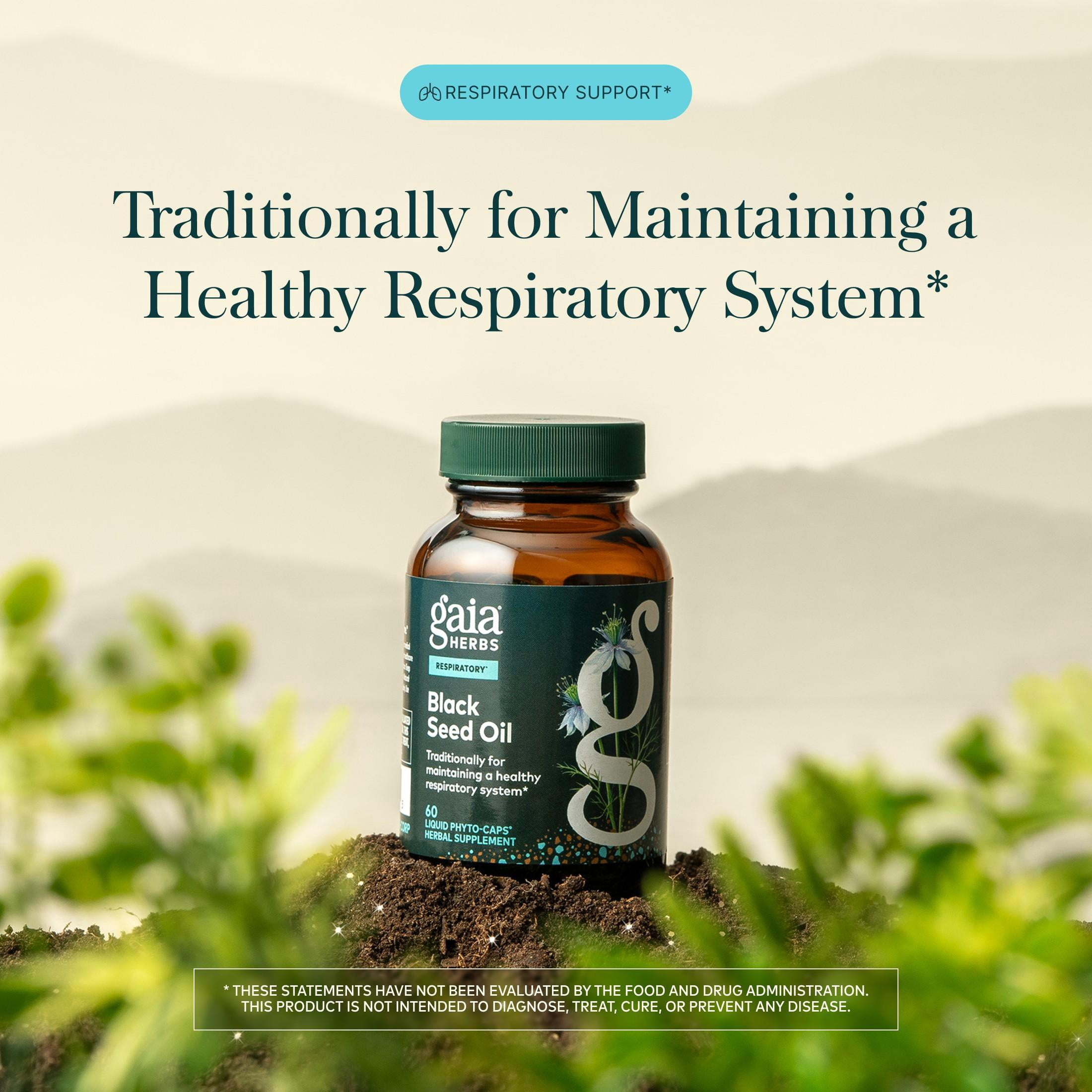 Gaia Herbs Black Seed Oil - Cold-Pressed Capsules with Nigella Seed Traditionally Used for Lung, Respiratory & Antioxidant Support* - Herbal Supplement - 60 Vegan Liquid Phyto-Caps (30 Servings)