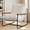 White, variant on GOODONE Accent Chair for Adults,Plush Arm Chair with Wooden Arms Metal Frame for Living Room,Bedroom,White