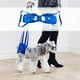 thumbnail image 5 of Arnés de soporte para levantamiento de perros, correas auxiliares para mascotas, ayuda canina para levantamiento Azul M, 5 of 8