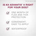thumbnail image 2 of K9 Advantix II Flea and Tick Treatment for Extra Large Dogs (6 doses), 2 of 7