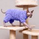 thumbnail image 4 of Suéter de lana para gatos sin pelo Sphynx, cálido y acogedor para gatos sin pelo y perros pequeños, chaqueta suave de cuatro patas con puños acanalados (XS-XXL, varios colores), 4 of 6