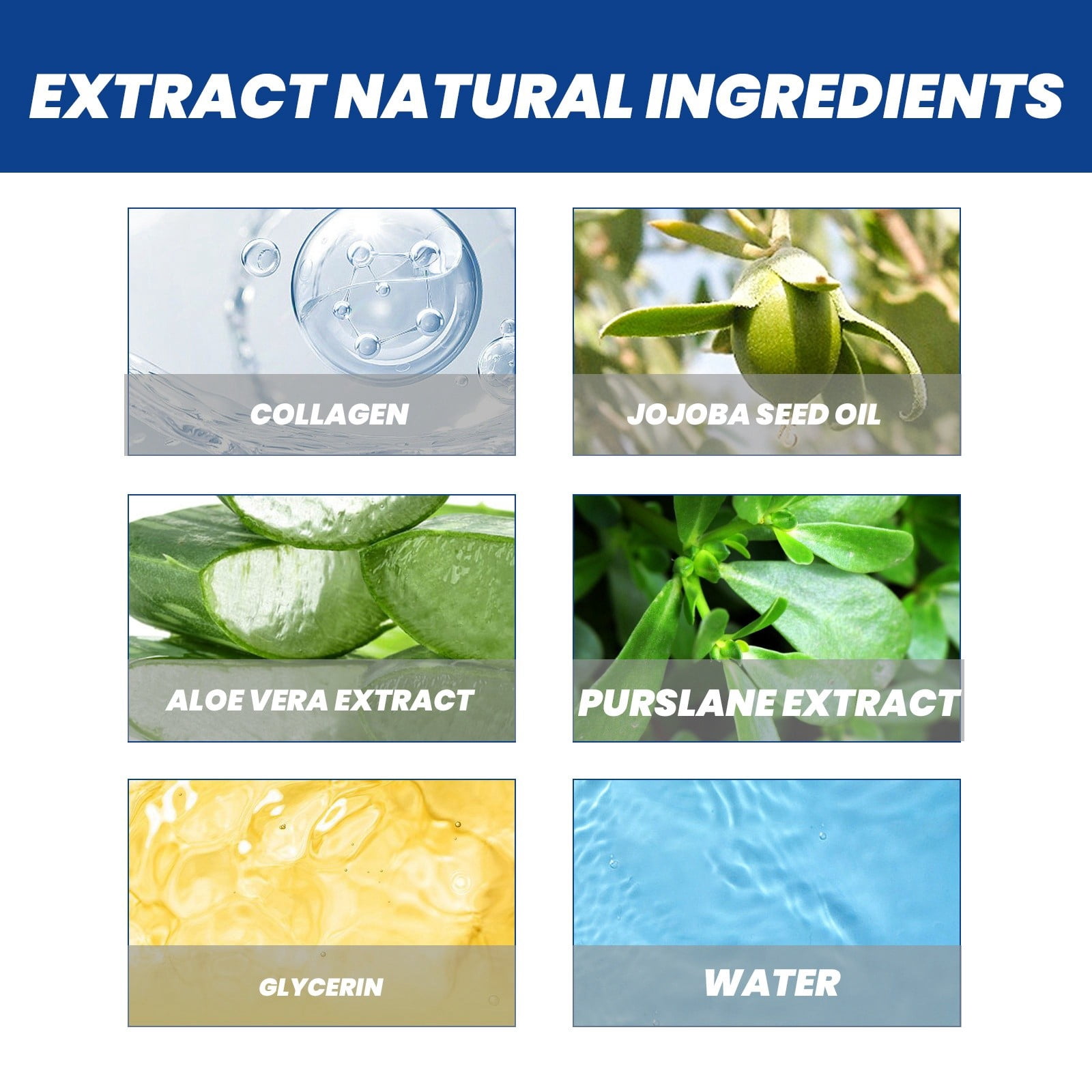 And Brow Growth by Clinical Effect Growth Factor for Hair It 12 in One Shampoo And Conditioner Eyelash Growth Long Eyelash And Eyebrow Growth Boosting Wellness Products Oil Drops for Hair Scalp