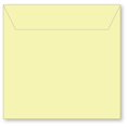thumbnail image 1 of Caja de memoria Memory Box SBS1-015, 1 of 1