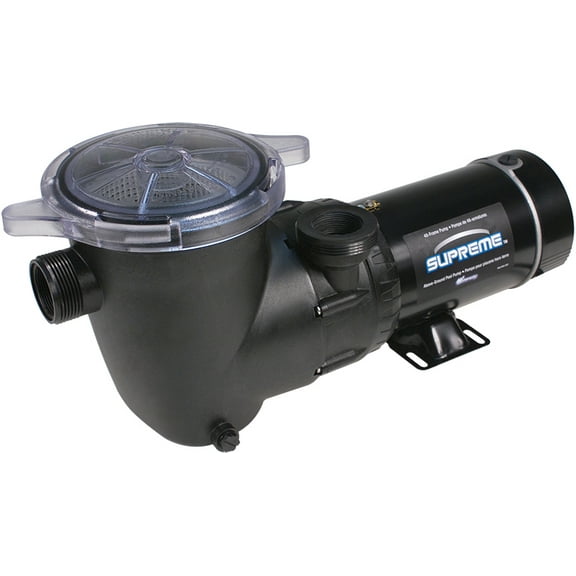 Waterway Supreme 1 HP Single Speed Vertical Above Ground Swimming Pool Pump