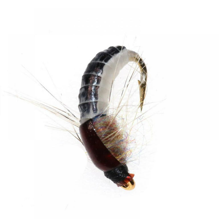 Realistic Nymph Scud Flies Super Sturdy Hooks Wet Flies for Fishing 6 Pcs, Size: One Fits All, Black