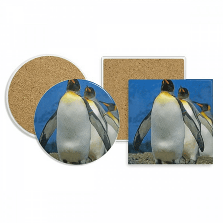 

Many Antarctic Penguins Nature Science Picture Coaster Cup Mug Holder Absorbent Stone Cork Base Set