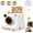 White, variant on 3D Latte Art Printer Machine With One-Touch Function And 4 Stencils(Black)