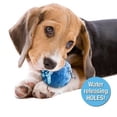 thumbnail image 3 of Hugs Pet Products Hydro Ball, 3 of 5