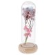 thumbnail image 2 of Florero Claro De La Preservación De cubierta De Cristal Con De De Pino Con Secadas Para La Decoración De De País Azul claro + rosa BLESIY Florero de preservación de flores, 2 of 8