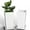 White, variant on Elevens Outdoor Planter Larger Flower Pots Indoor Taper Garden V-Shape Tall Planters 24 inches Garden Pots Planter - White（2 Packs）