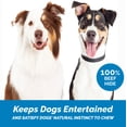 thumbnail image 6 of Rawhide Bones chews for dogs 5-6" - (10 Count) Delicious Beef Hide for dogs by 123 Treats, 6 of 6