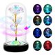 thumbnail image 2 of Flor giratoria de regalo para niños con forma de rosa arcoíris en cúpula de cristal, 2 of 8