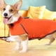 thumbnail image 3 of Ropa para perros en otoño e invierno Jersey de felpa de cuello alto MFZFUKR BST2000997-6, 3 of 6