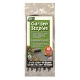 thumbnail image 1 of 4" Garden Staples, 1 of 2
