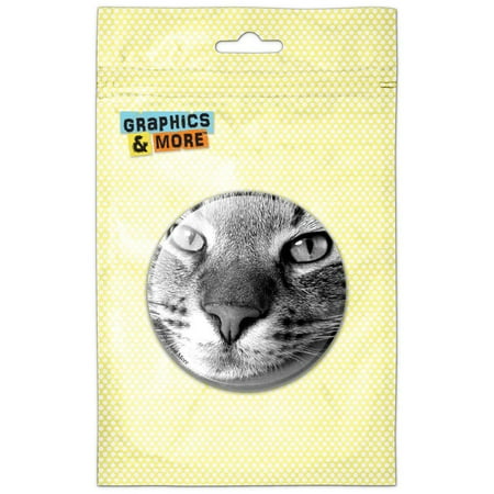 

Domestic Shorthair Tabby Cat Refrigerator Button Magnet