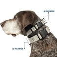 thumbnail image 2 of Buckle-Down Pet Collar, Dog Collar Plastic Buckle, Cacti Tans, 9.5 to 13 Inches 1.0 Inch Wide, 2 of 8