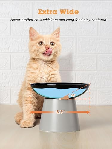 Elevated Cat Food and Water Bowls Set, Extra Wide and Raised Ceramic Feeder, Anti-Vomit Whisker-Free Pressure Feeding Bowl for Kittens Adult Small Dogs (Black, Food Bowl)