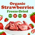 thumbnail image 5 of Organic Freeze-Dried Strawberries, 8 Ounces - Non-GMO, Kosher, Bulk - by Food to Live, 5 of 7