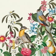 IHR Ideal Home Range Party Napkins Disposable 3-Ply Paper Lunch Napkin Pack, 6.5" x 6.5", Jungle Birds (Cream), 20-Count