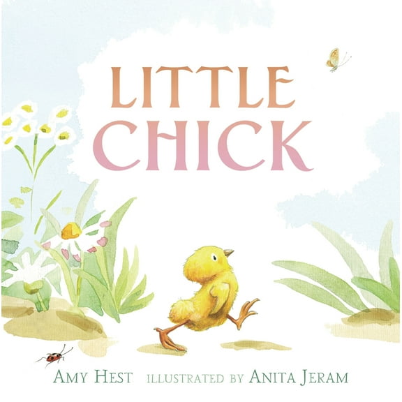 Pre-Owned Little Chick (Hardcover) 0763628905 9780763628901